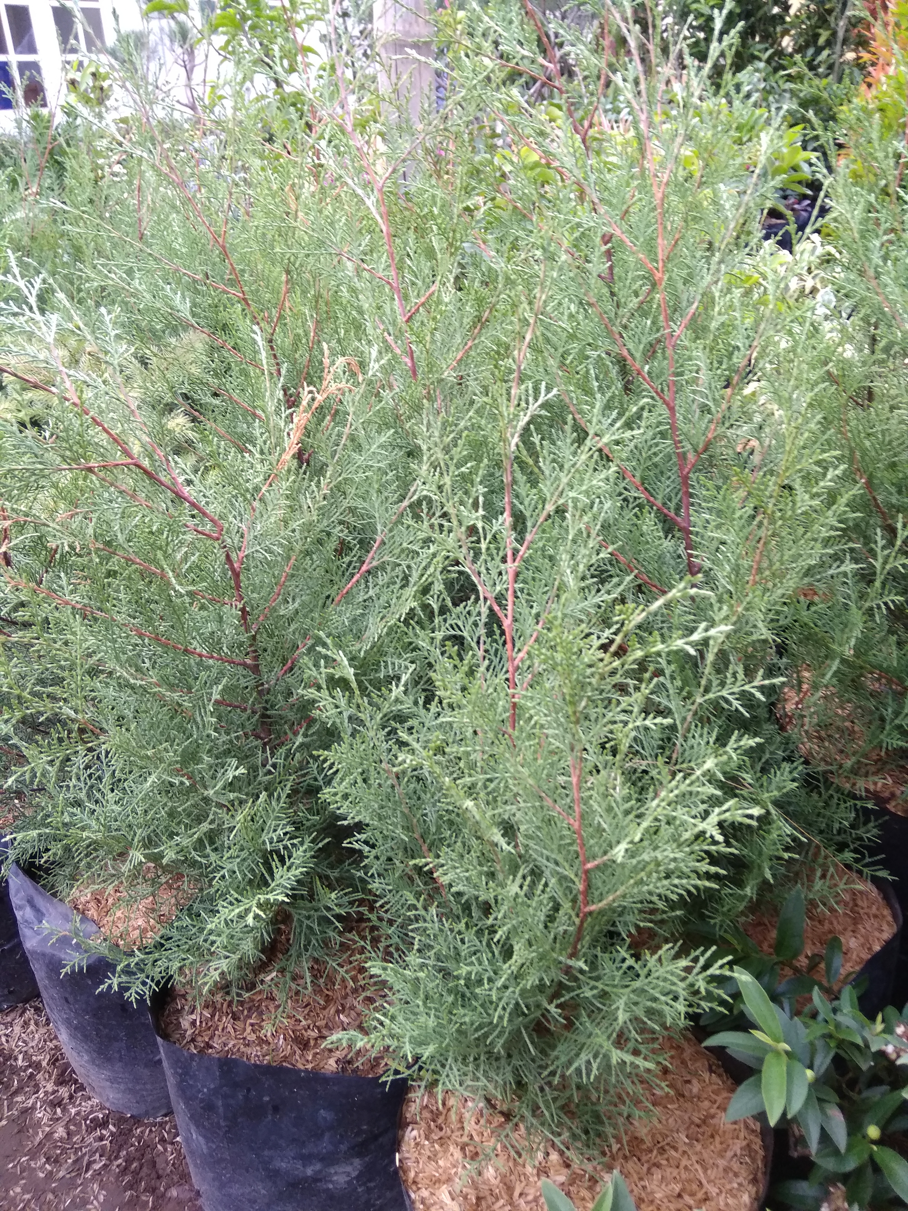 WhatsApp Image 2018-10-17 at 16.57.22.jpeg