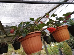 WhatsApp Image 2018-10-17 at 17.12.28.jpeg