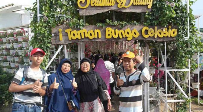 Taman Bunga Celosia Bandungan Jawa Tengah, Liburan Bersama Keluarga 2018