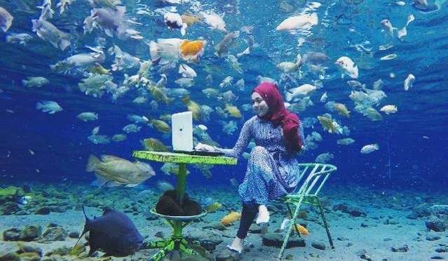 Snorkling dan Diving Air Tawar Ada di Umbul Ponggok Klaten, Ayo Dicoba