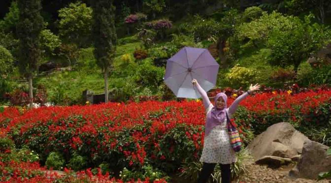 Taman Rekreasi Selecta, <em>Truly Picnic</em>, Kebun Bunga dan Aneka Wahana, Dulu dan Kini