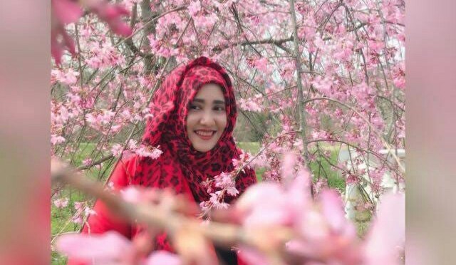 Wisata Tokyo Jepang dan Sekitarnya di Negeri Matahari – Negeri Sakura