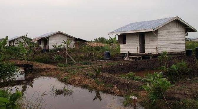 Kemiskinan Membuat Ayahku Nekat Transmigrasi, Kisah (Nyata) Perjalanan