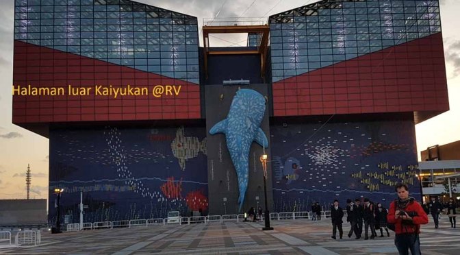 Osaka Aquarium Kaiyukan  Jepang Dihiasi Aneka Ragam Fauna Laut Pacific Rim