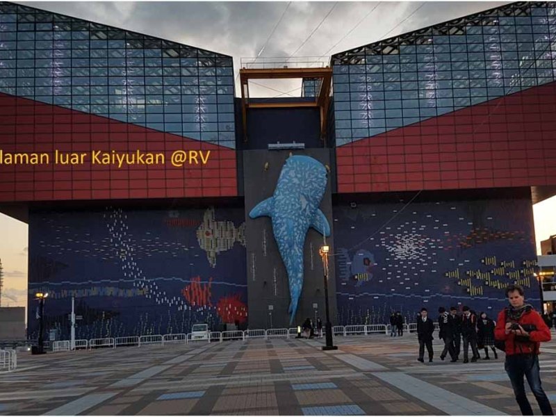 Osaka Aquarium Kaiyukan  Jepang Dihiasi Aneka Ragam Fauna Laut Pacific Rim