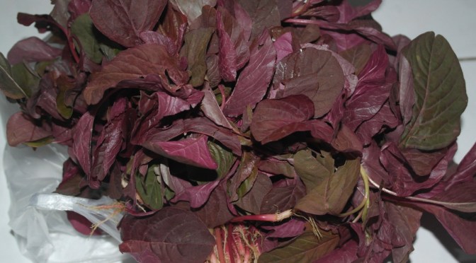 Manfaat Bayam Merah, Sayuran untuk Kesehatan Mata, Ginjal juga Anti Kanker