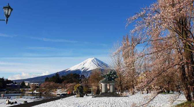 Inilah Beberapa Alasan Trip ke Tokyo Jepang Negeri Sakura