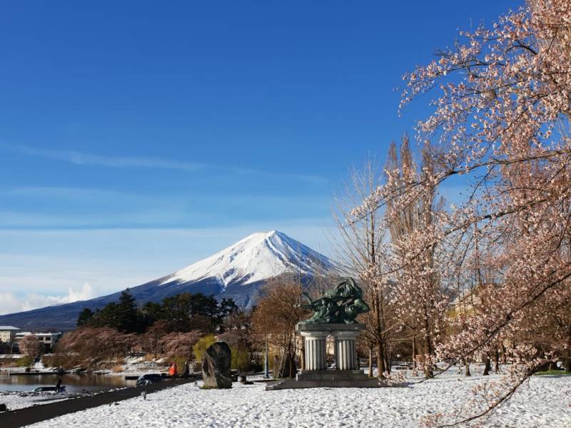 Inilah Beberapa Alasan Trip ke Tokyo Jepang Negeri Sakura