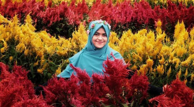 Taman Bunga Celosia Ragil Kuning Simo Boyolali, Wisata Baru
