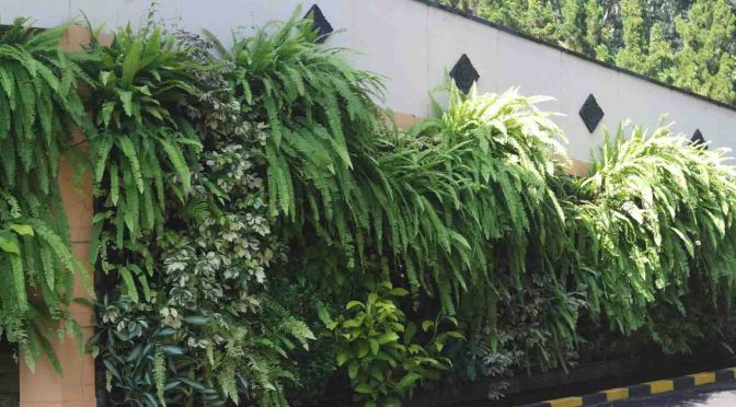 Calon Mahasiswa SM UNNES Boleh Mengajukan Keringanan UKT/SPI, Inilah Caranya