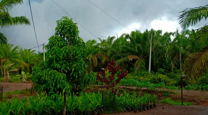 Mudik Pulang Kampung Lebaran Selalu Dirindukan