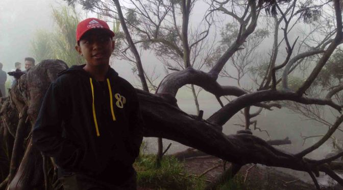 Luar Biasa, Ibu ini Menangkap Anaknya yang Jatuh dari Tangga