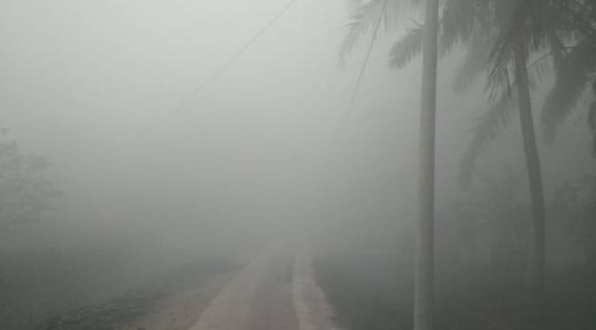 Dampak Kabut Asap Karhutla di Markas KissParry Center Tenggulang Baru, Babat Supat, Musi Banyuasin