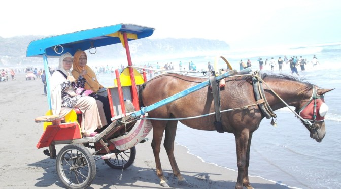Keliling Pantai Parangtritis Bantul dengan Delman (Dokar)