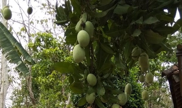 Hati hati terhadap Aplikasi Pencuri Data Pribadi, Hapus Segera, Ada Aplikasi Azan dan Salat