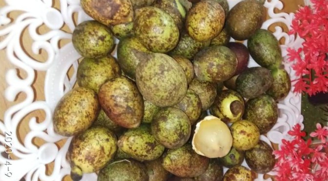 Oh.. Buah Matoa, Baru Pertama Nyoba Setelah Lama Penasaran, Ternyata Banyak Manfaat untuk Kesehatan