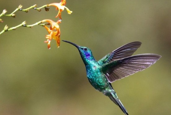 Possibility Thinking, Berfikir Positif (Cara menjadi Pemikir Positif)