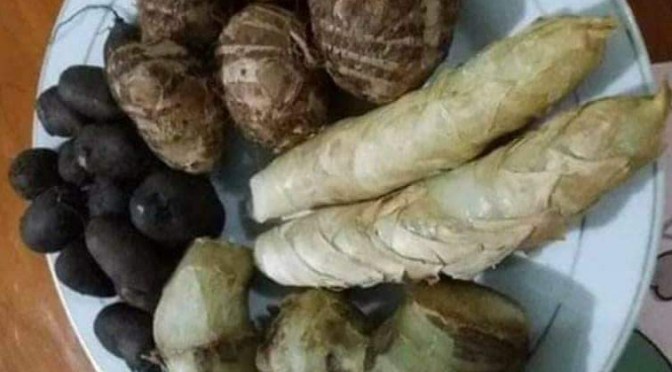 Beberapa Umbi yang Bisa di Konsumsi, Bahkan Jadi Komoditas