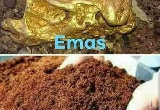 Percakapan Emas dan Tanah untuk Renungan