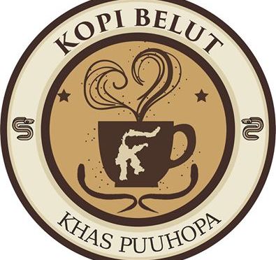 Mengenal Apa itu Kopi Belut Khas Puuhopa Puriala Kab Konawe Sulawesi Tenggara