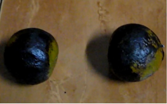 Obat Batuk Tradisional  Jeruk Bakar dan Kecap, Mudah Membuatnya