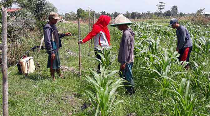 Perkembangan Zaman Sekolah Kejuruan, Dulu dan Kini SMK