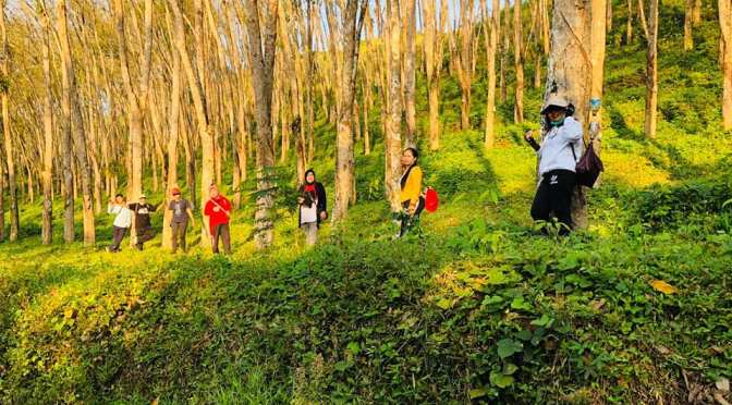 Lagu Teman Tapi Mesra – Kita Berteman Saja, Ratu MP3 <em>(Download)</em>