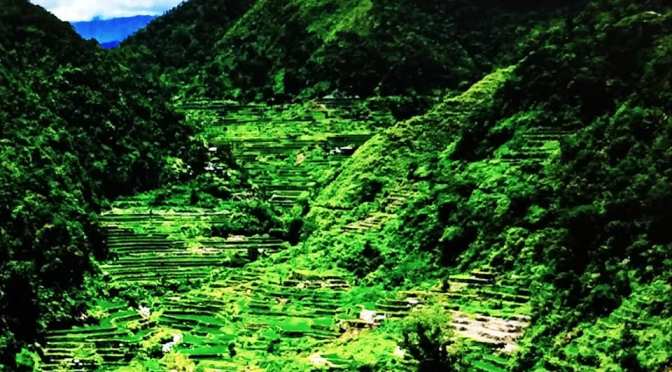 Renungan Awal Tahun GerTrans 71-17 dari Pak Lurah PATRI