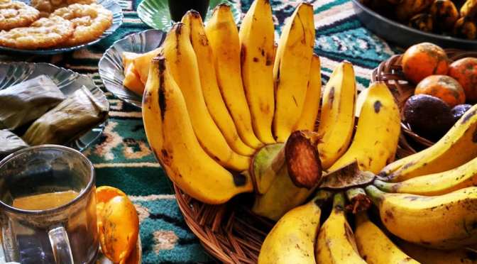 Jejak Transmigran, Lampung 1905