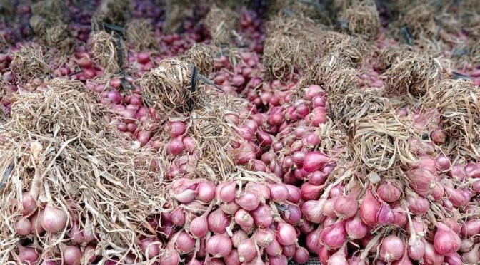11 Manfaat Bawang Merah untuk Kesehatan: Diabetes, Hipertensi, Kutu Air