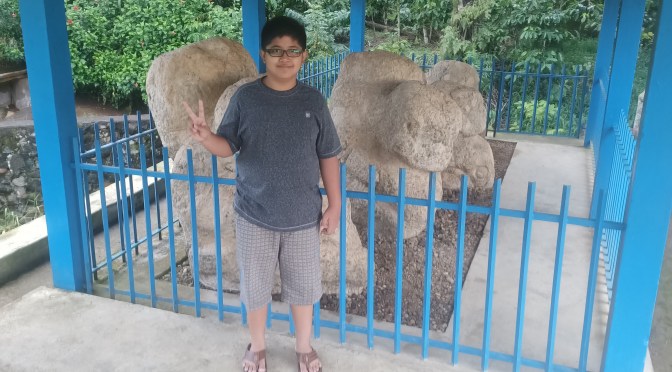 Situs Megalith Tegur Wangi Kota Pagar Alam