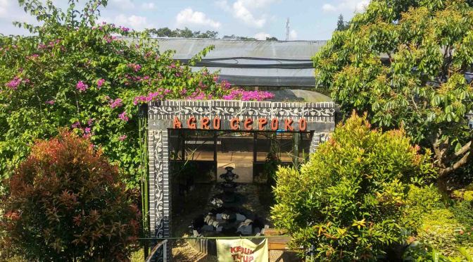 Lagu Jangan Sakiti Hatinya, Iis Sugianto, Lirik MP3 Download