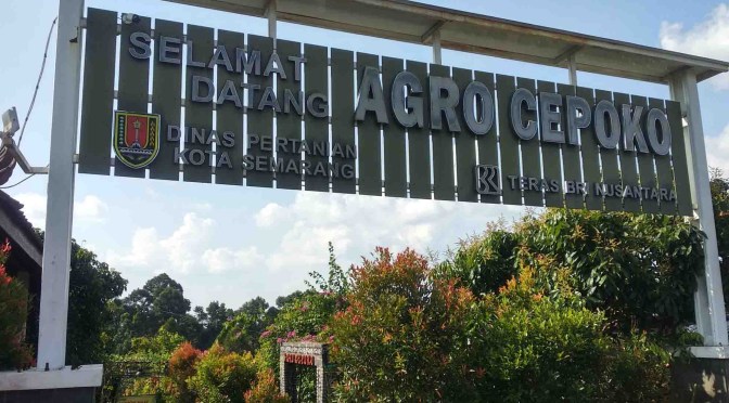 Agro Cepoko Gunungpati Semarang, Petik Buah, Tersedia Bibit Tanaman Buah dan Aneka Bunga