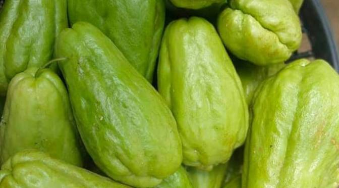 Jipang atau Labu Siam, Itu Buah atau Sayur, dan Ini Manfaatnya