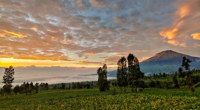 Katakan Sejujurnya| Lirik Lagu 90an, MP3 Download dalam 2 Versi | Christine Panjaitan dan Armada