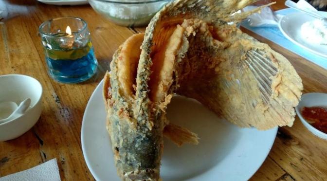 Kampung Laut Resto Semarang, Kuliner dan Rekreasi Dekat Bandara Internasional Ahmad Yani