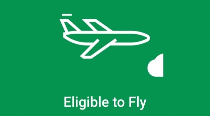 Asyik Perjalanan Udara (Pesawat) Domestik Tanpa Sweb Lagi, Ada Aplikasi Peduli Lindungi