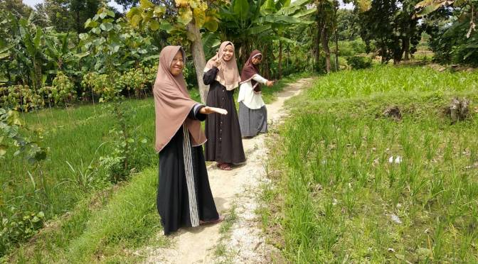 Inilah Alam Pedesaan dengan Persawahan Tadah Hujan di Atas Perbukitan