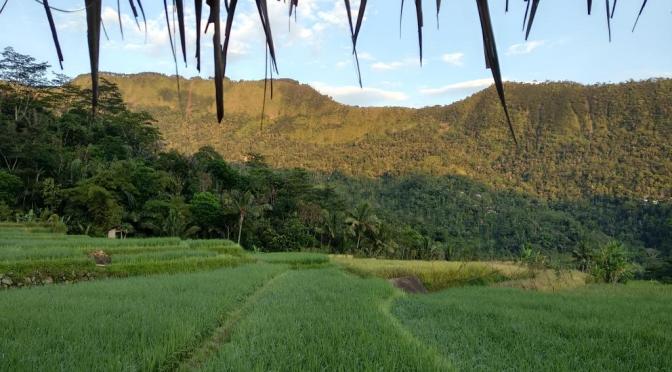 Berlangganan Koran ataukah Berlangganan Ketukan Pintu | Renungan Cerita Loper Koran