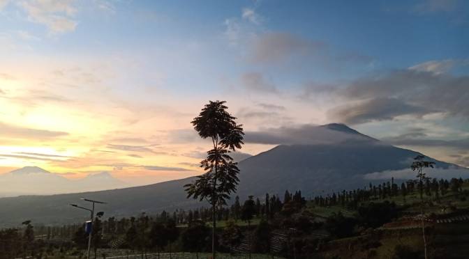 Joko Tingkir (Ngombe Dawet) Lirik Lagu Jawa Hits | Versi Yeni Inka feat Farel Prayoga, Video Musik Terpopuler No.#1 YouTube