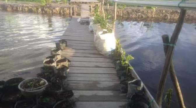 Arsip file : JANGAN PERNAH PENSIUN