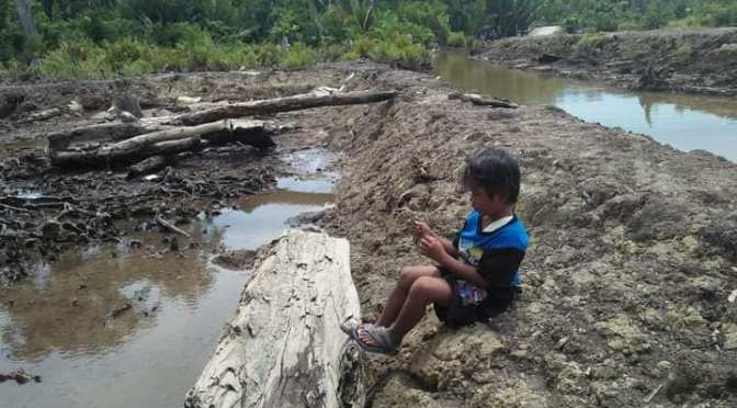 Renungan Tanah Transmigran: FENOMENA PINDAH KEPEMILIKAN