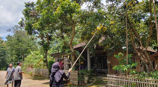 Bagaimana Cara Split pada Google Spreadsheets?