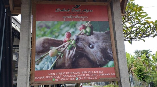 Cofee Break di Subak Bali Agro Baturiti, Tersedia Kopi Luwak Asli | Dekat Bedugul